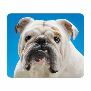 White English Bulldog Mouse Pad